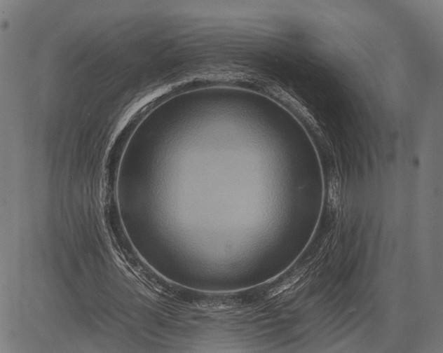 X0000082720724200702091812