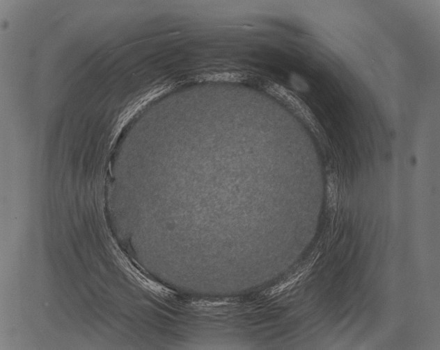 X0000082720725200702091812