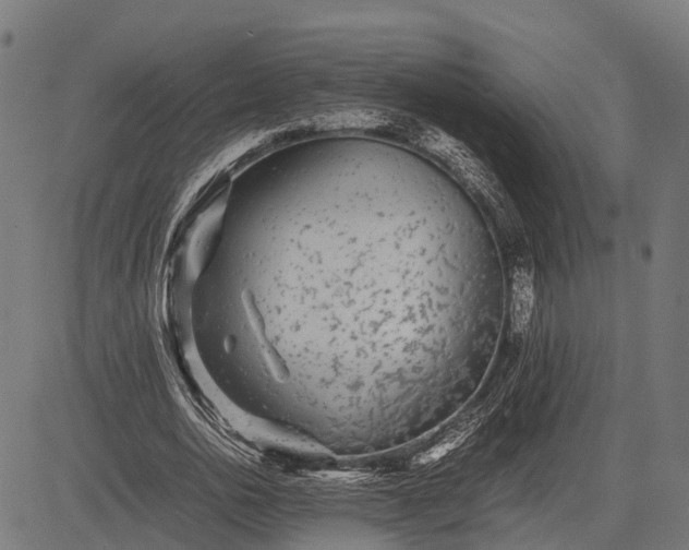 X0000082720726200702091812