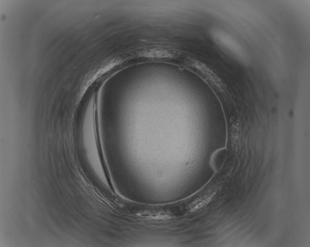 X0000082720727200702091812