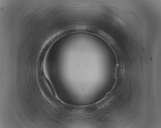 X0000082720728200702091812