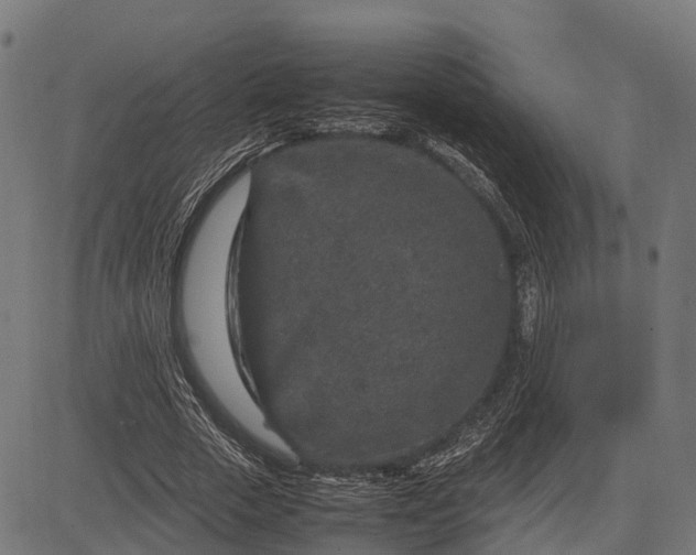 X0000082720729200702091812