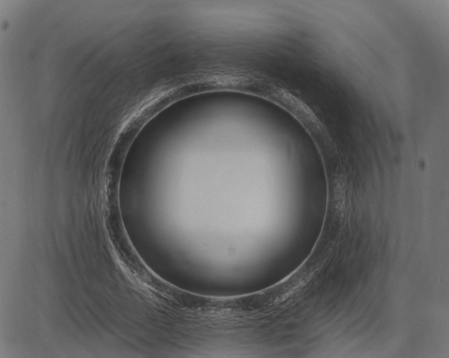 X0000082720730200702091812