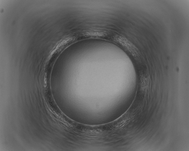 X0000082720731200702091812