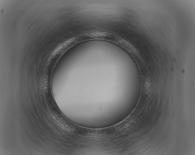 X0000082720732200702091812