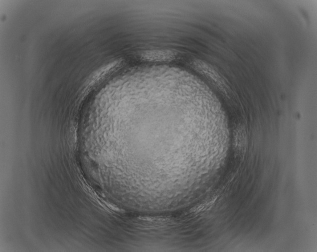 X0000082720733200702091812