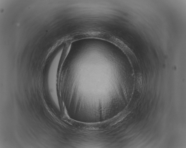 X0000082720734200702091812