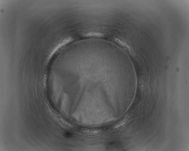 X0000082720735200702091812