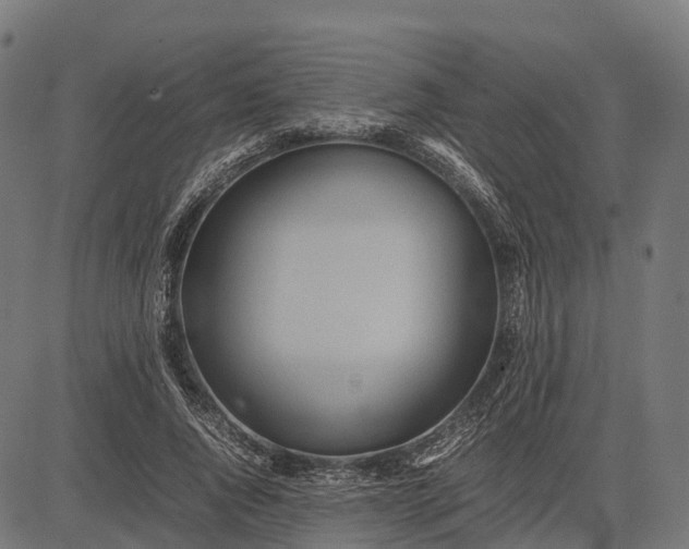 X0000082720736200702091812