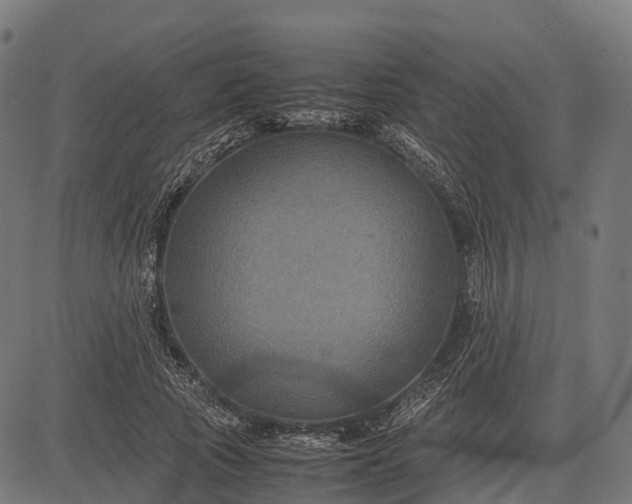 X0000082720737200702091812