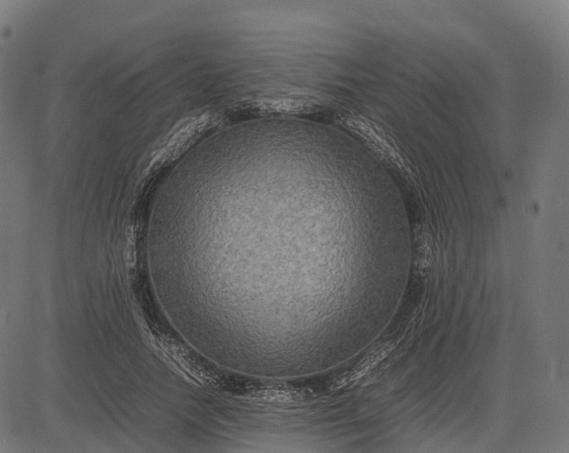 X0000082720738200702091812