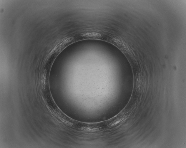 X0000082720739200702091812