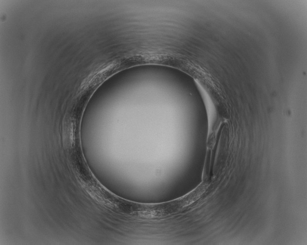 X0000082720740200702091812