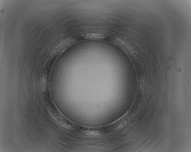 X0000082720741200702091812