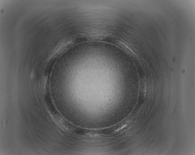 X0000082720742200702091812