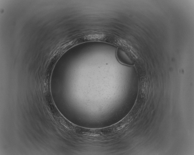 X0000082720743200702091812