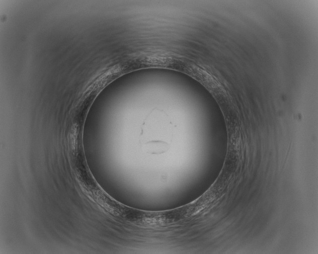 X0000082720744200702091812