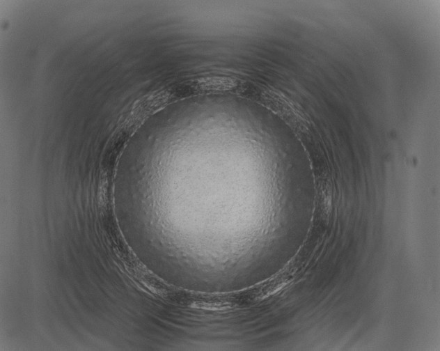 X0000082720745200702091812