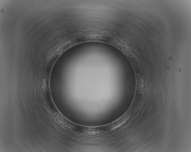 X0000082720746200702091812