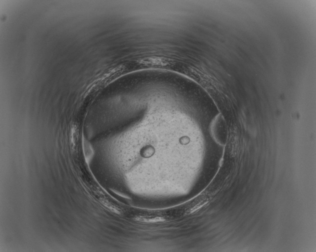 X0000082720747200702091812