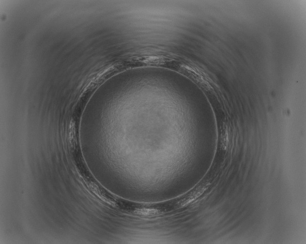 X0000082720748200702091812