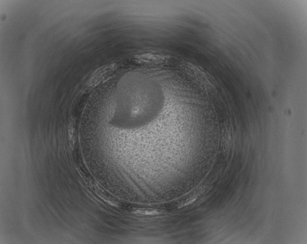 X0000082720749200702091812