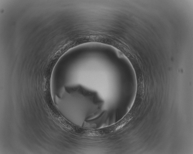 X0000082720750200702091812