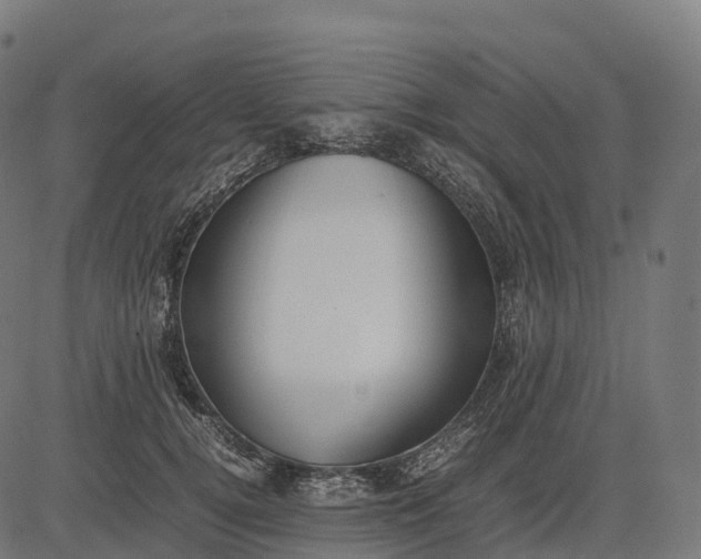 X0000082720752200702091812