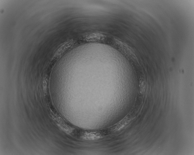 X0000082720753200702091812