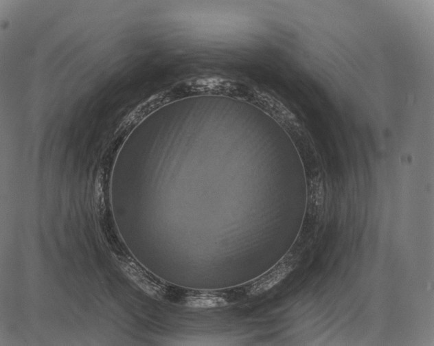 X0000082720754200702091812