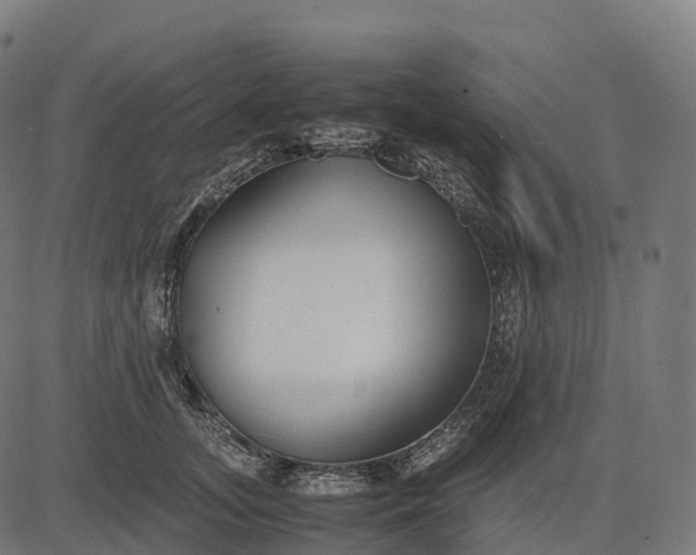 X0000082720755200702091812