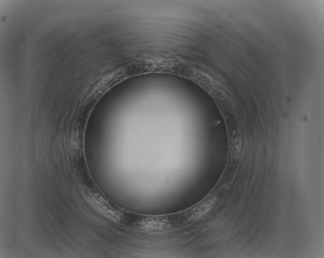 X0000082720756200702091812