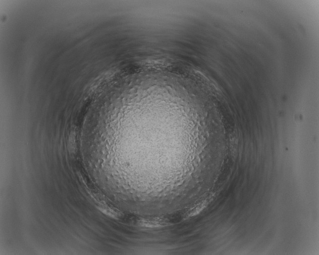 X0000082720757200702091812