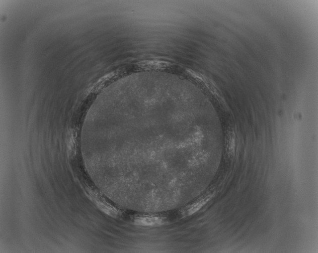 X0000082720759200702091812