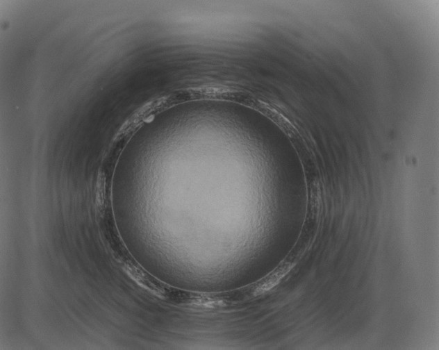 X0000082720760200702091812