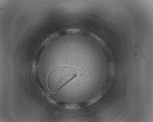 X0000082720761200702091812