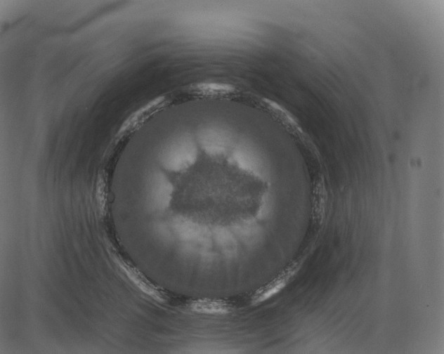 X0000082720762200702091812