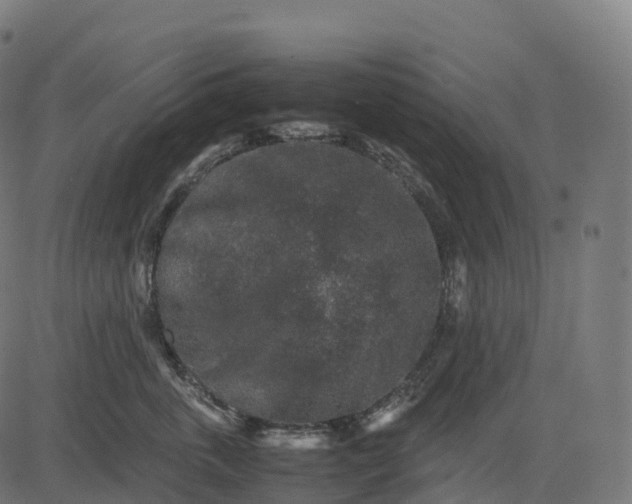 X0000082720763200702091812