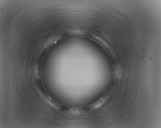 X0000082720764200702091812