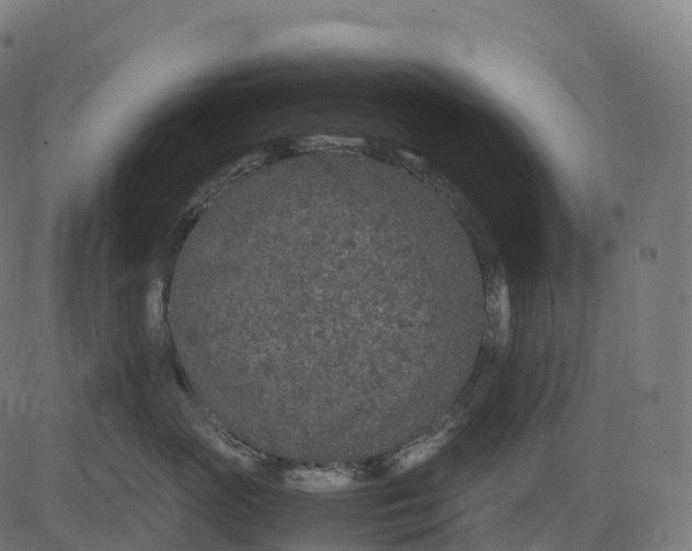 X0000082720765200702091812