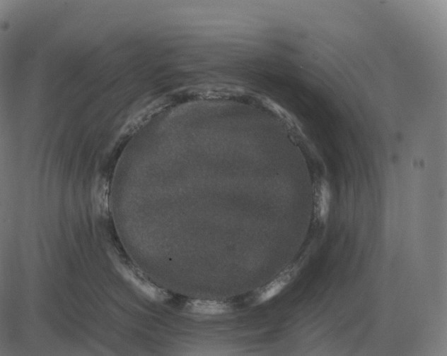 X0000082720766200702091812