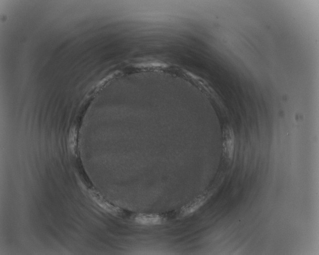 X0000082720767200702091812