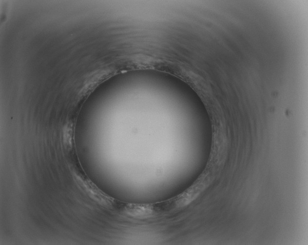 X0000082720768200702091812