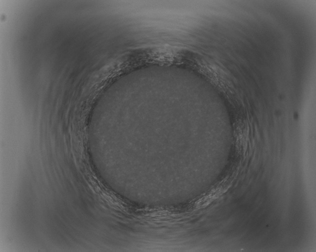 X0000082720769200702091812