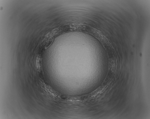 X0000082720770200702091812