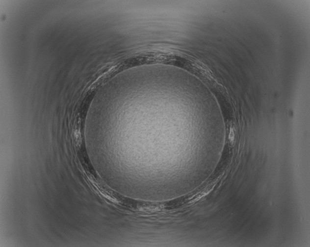 X0000082720771200702091812