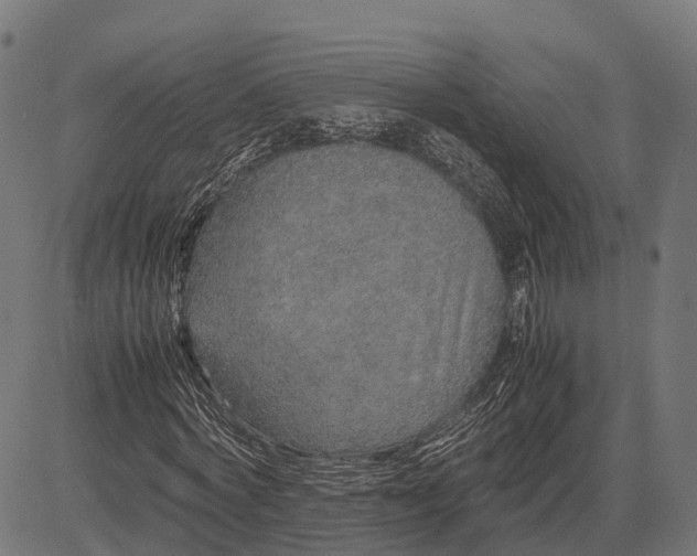 X0000082720772200702091812