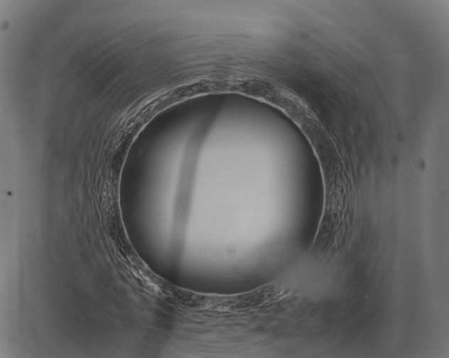 X0000082720773200702091812