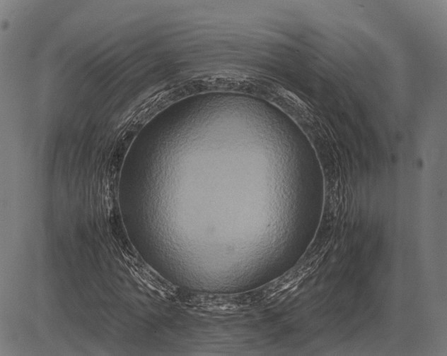 X0000082720774200702091812