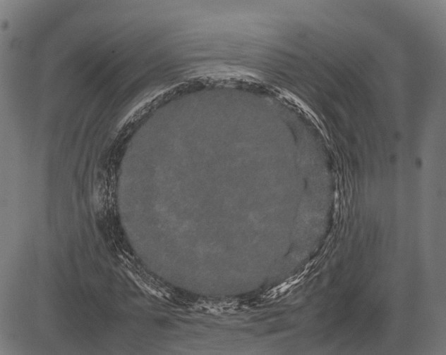 X0000082720775200702091812